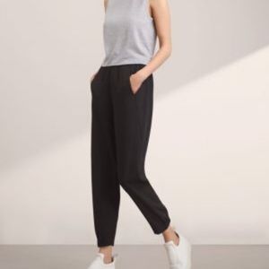 Black Aritzia dexter pants